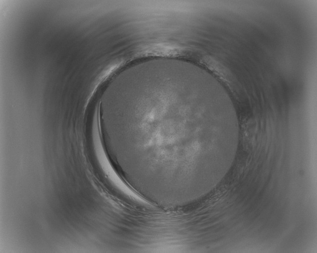 X0000064760679200602101224