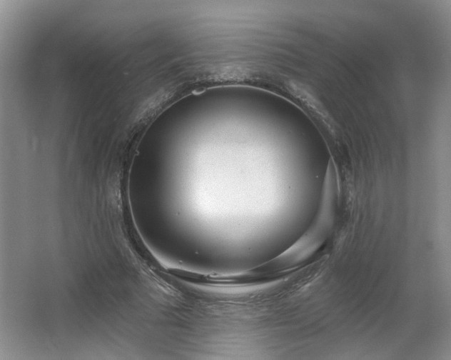 X0000064760681200602101224