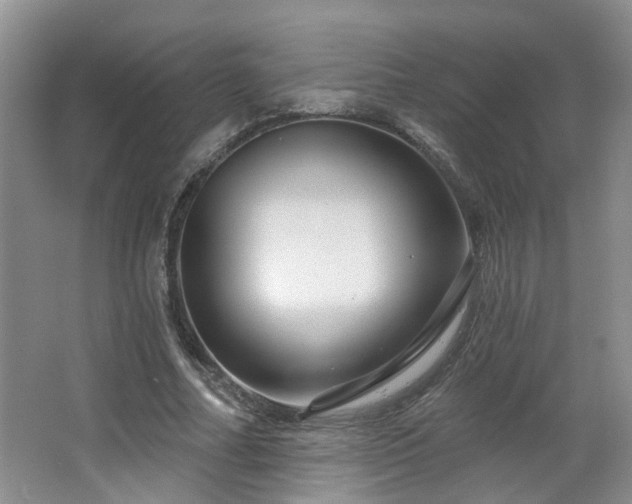 X0000064760682200602101224