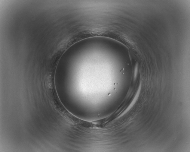 X0000064760689200602101224