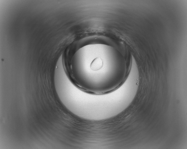 X0000064760697200602101223
