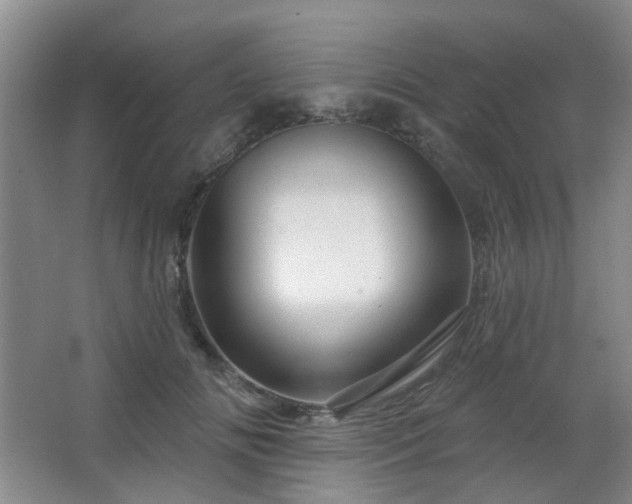X0000064760702200602101223