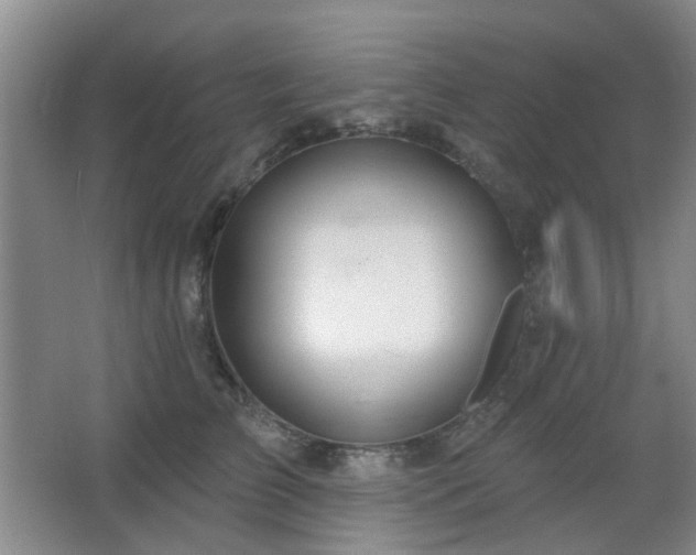 X0000064760709200602101223