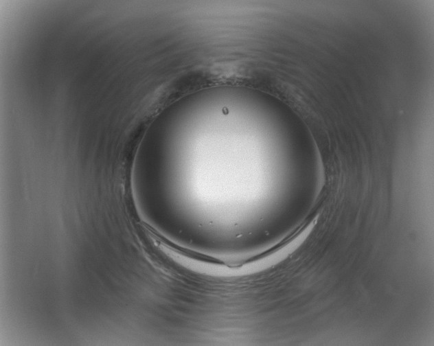 X0000064760710200602101223