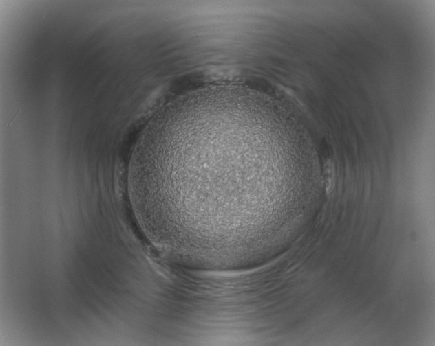 X0000064760712200602101223