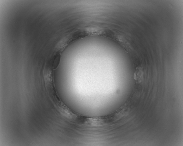 X0000064760713200602101223