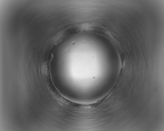 X0000064760715200602101223