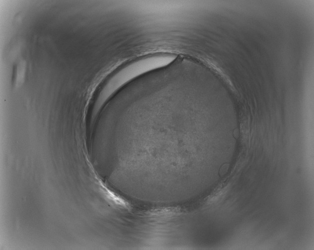 X0000064760721200602101222