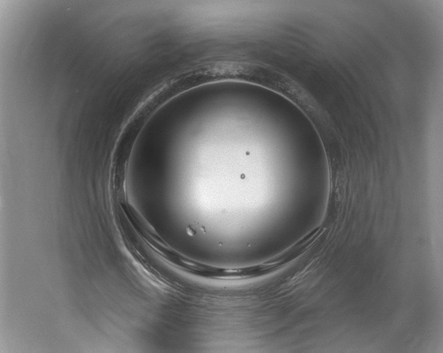 X0000064760722200602101222