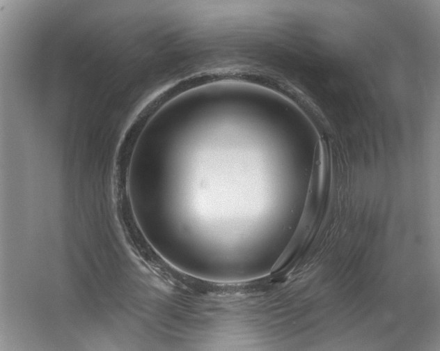 X0000064760724200602101222