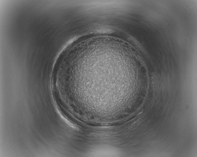 X0000064760726200602101222