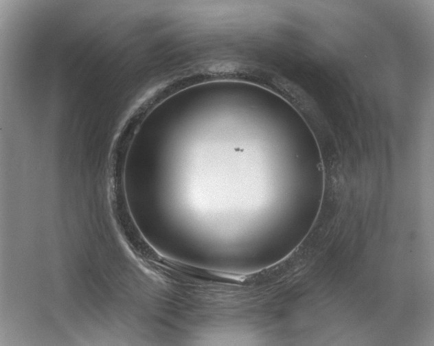 X0000064760728200602101222