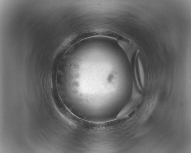 X0000064760734200602101222