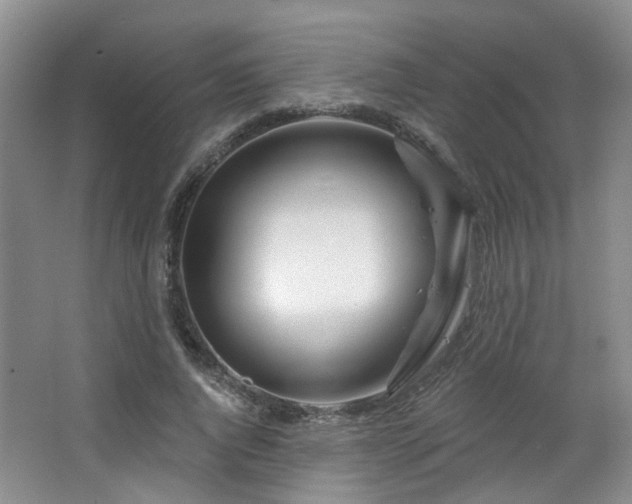 X0000064760736200602101222