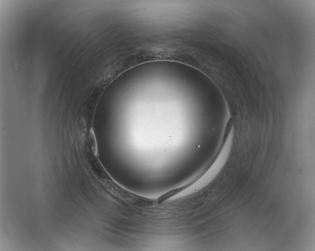X0000064760752200602101223