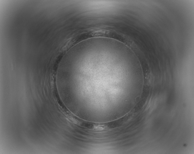 X0000064760753200602101223