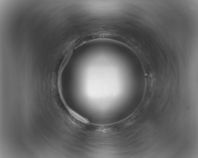 X0000064760760200602101223