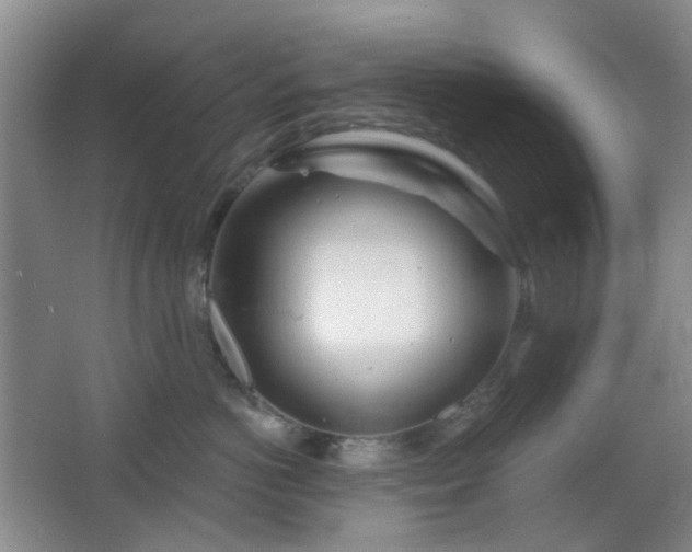X0000064760766200602101223