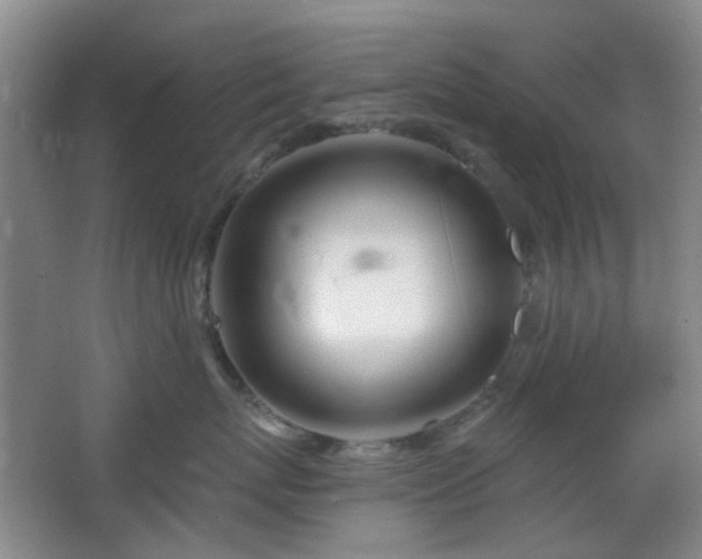 X0000064760767200602101223