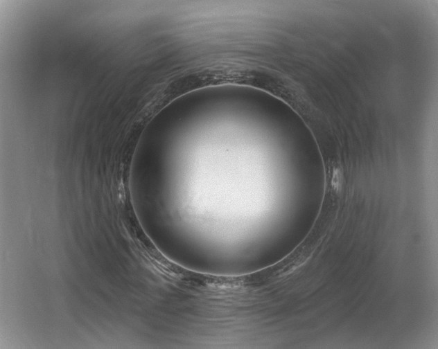 X0000064760771200602101222