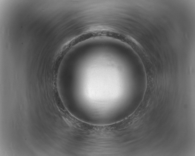 X0000064760775200602101222