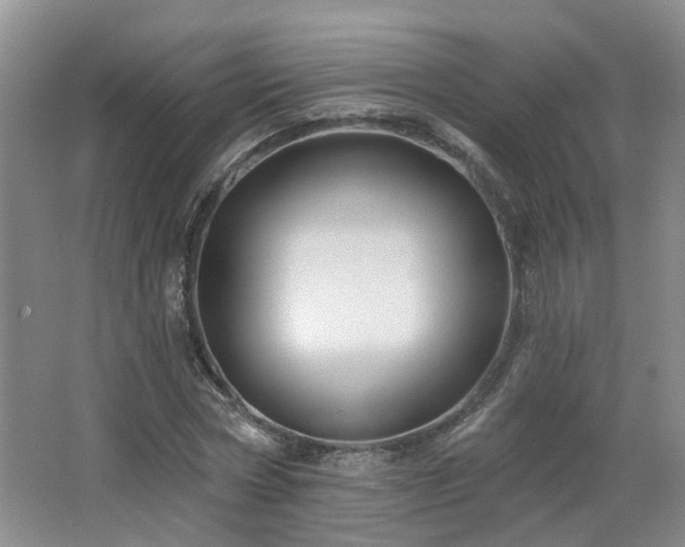 X0000064760778200602101222