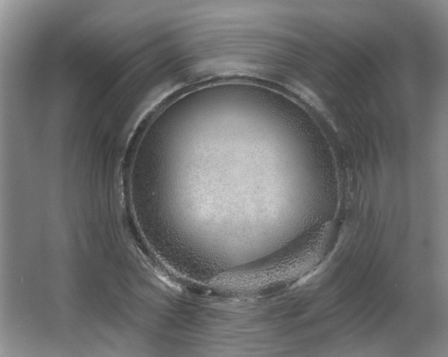 X0000064760782200602101222