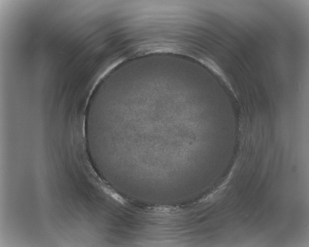 X0000064760790200602101222