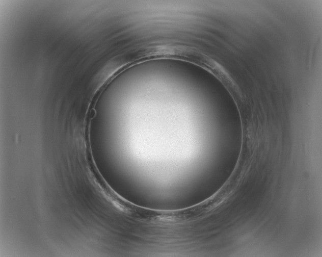 X0000064760794200602101222