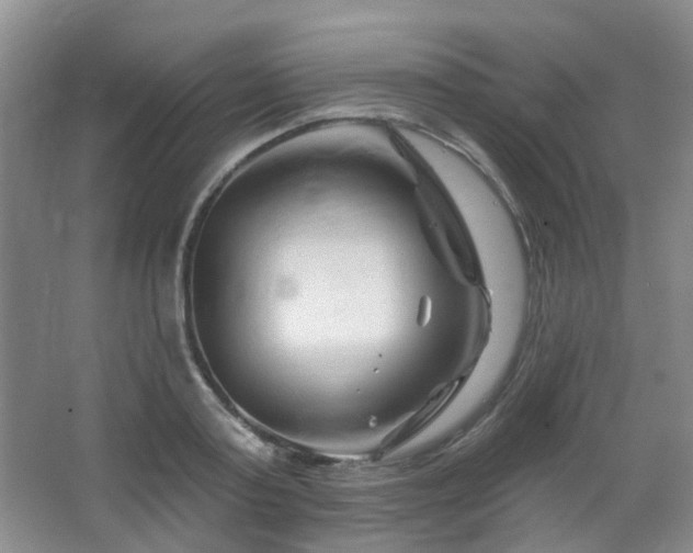 X0000064760795200602101222