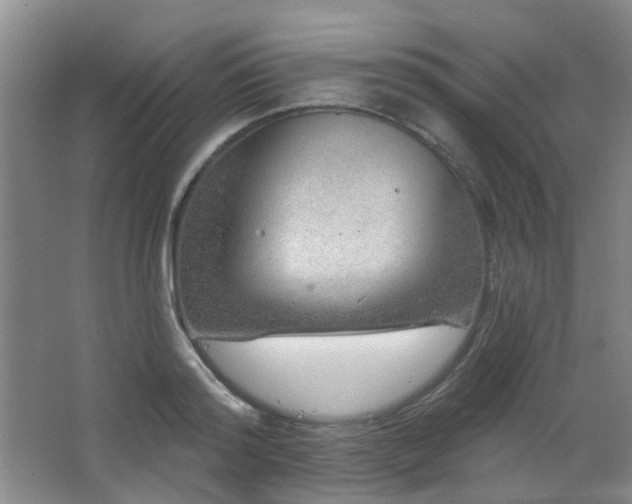 X0000064760796200602101222