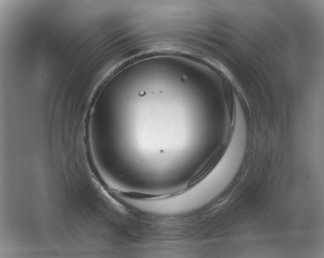 X0000064760799200602101222