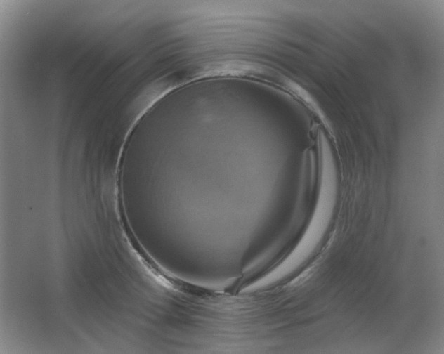 X0000064760802200602101222
