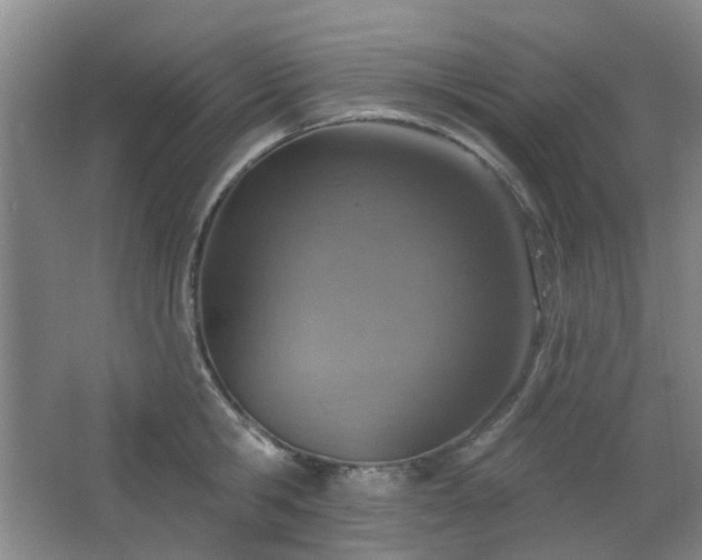 X0000064760806200602101222