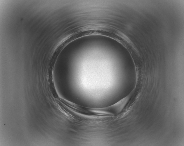X0000064760826200602101221