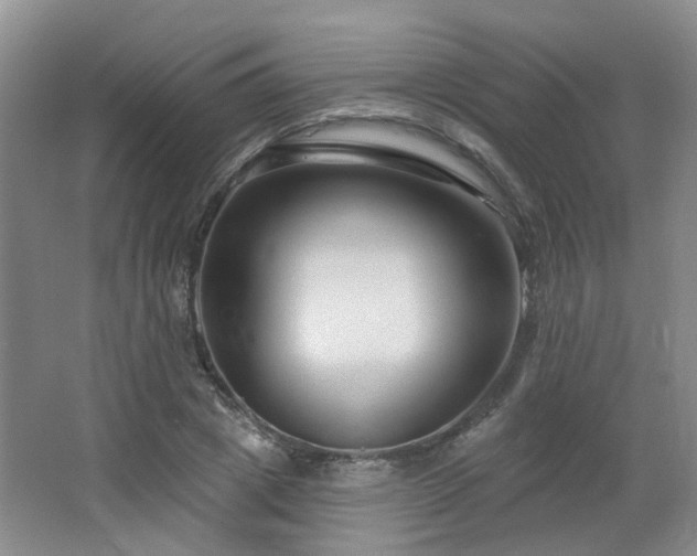 X0000064760833200602101221