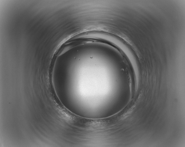 X0000064760834200602101221