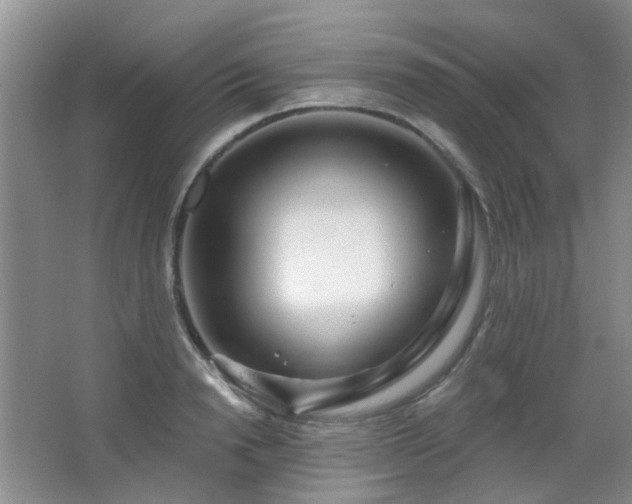 X0000064760846200602101221