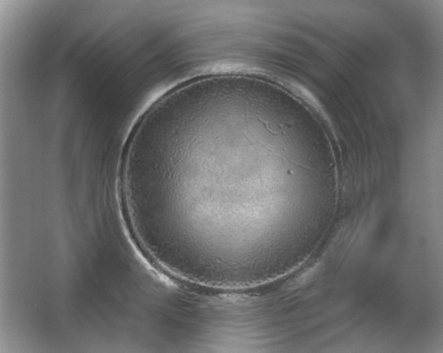 X0000064760847200602101221