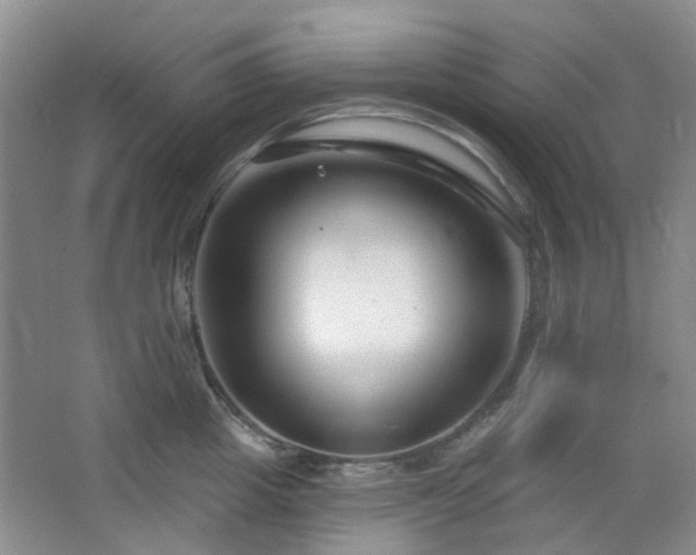 X0000064760857200602101221
