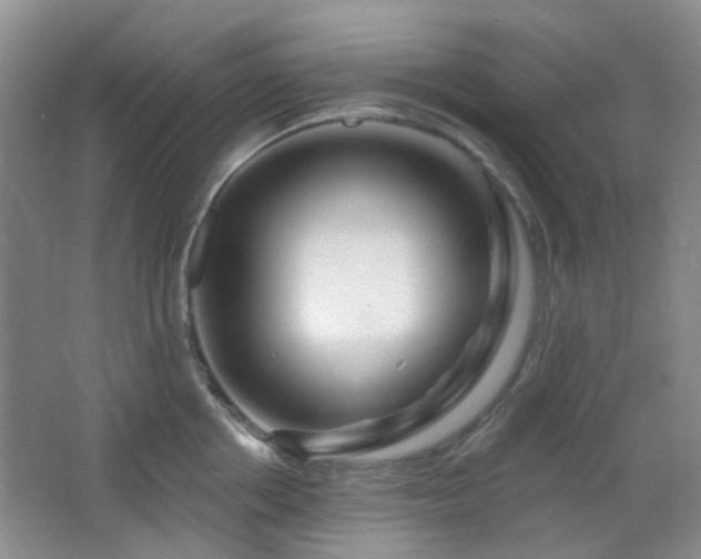 X0000064760858200602101221