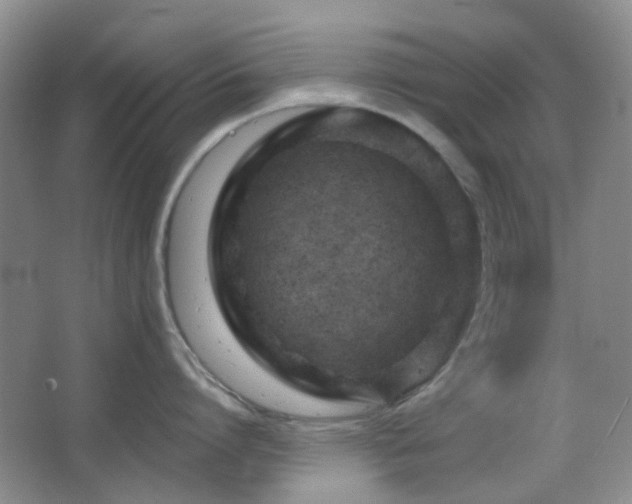 X0000064760864200602101221