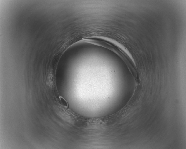 X0000064760866200602101221
