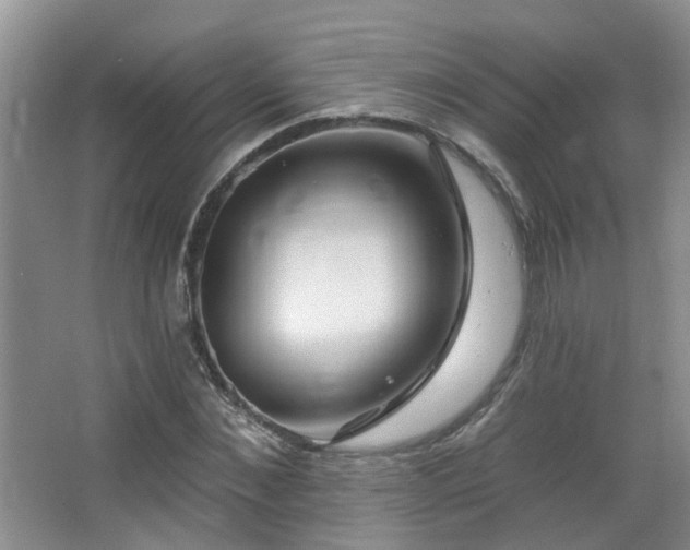 X0000064760876200602101220