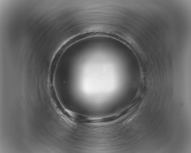 X0000064760880200602101220