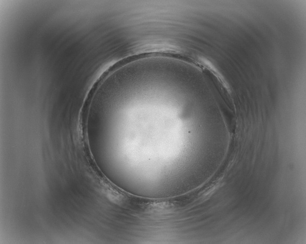 X0000064760883200602101220