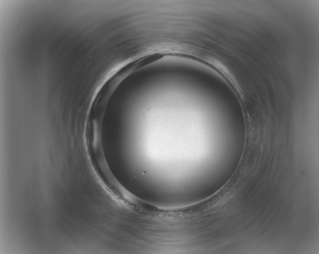 X0000064760901200602101220