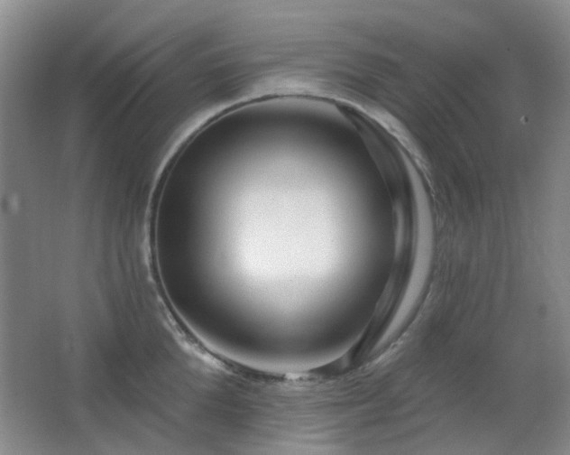 X0000064760904200602101220