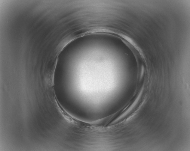 X0000064760905200602101220