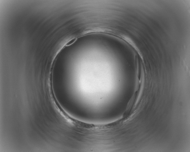 X0000064760906200602101220